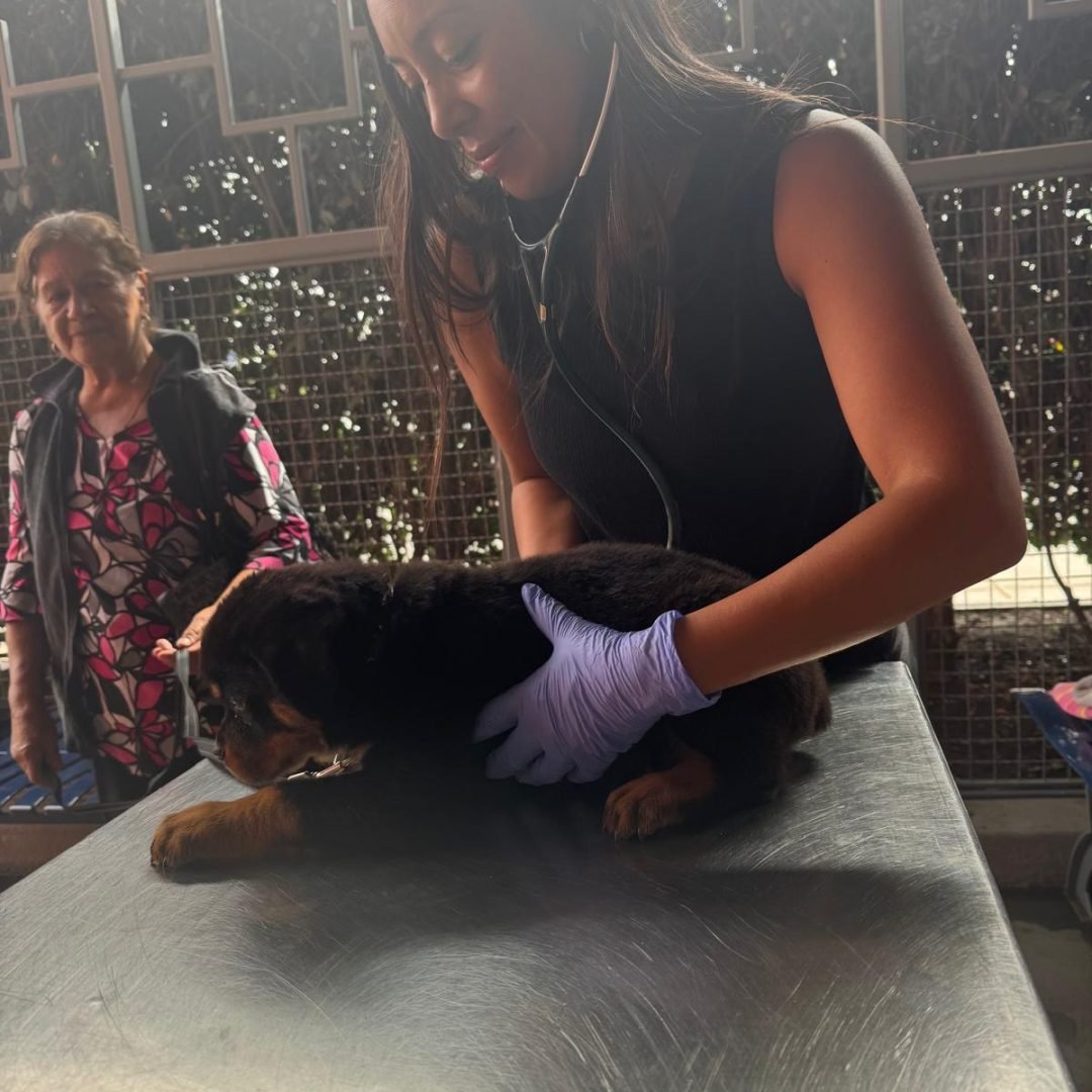 1ee0f005-b720-4e8d-9d54-c9134492c381