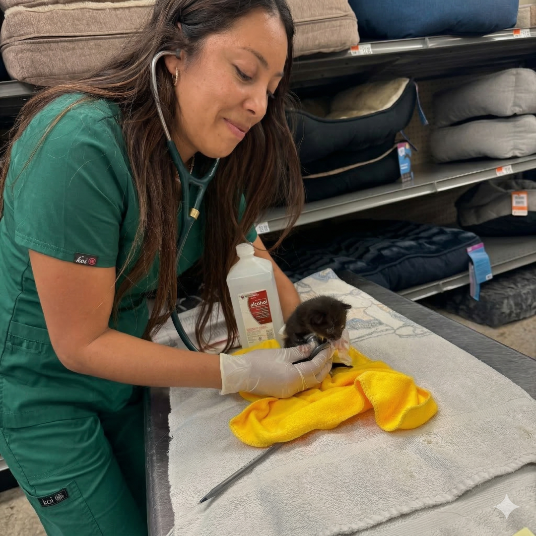 Gemini_Generated_Image_d0f42wd0f42wd0f4