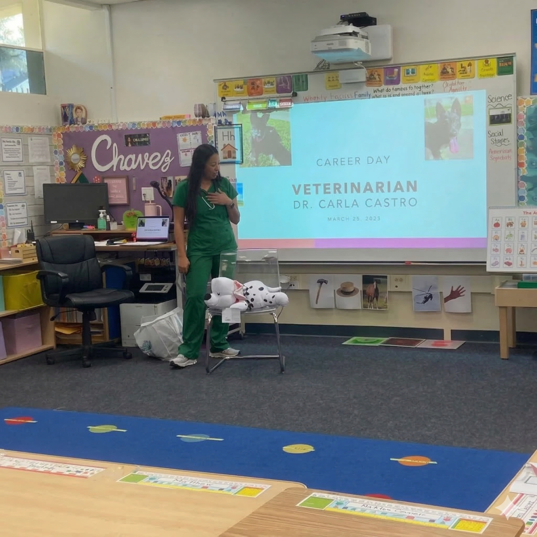 Gemini_Generated_Image_zdmxp5zdmxp5zdmx