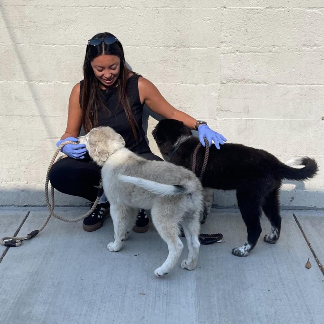 WhatsApp Image 2026-02-02 at 05.25.02