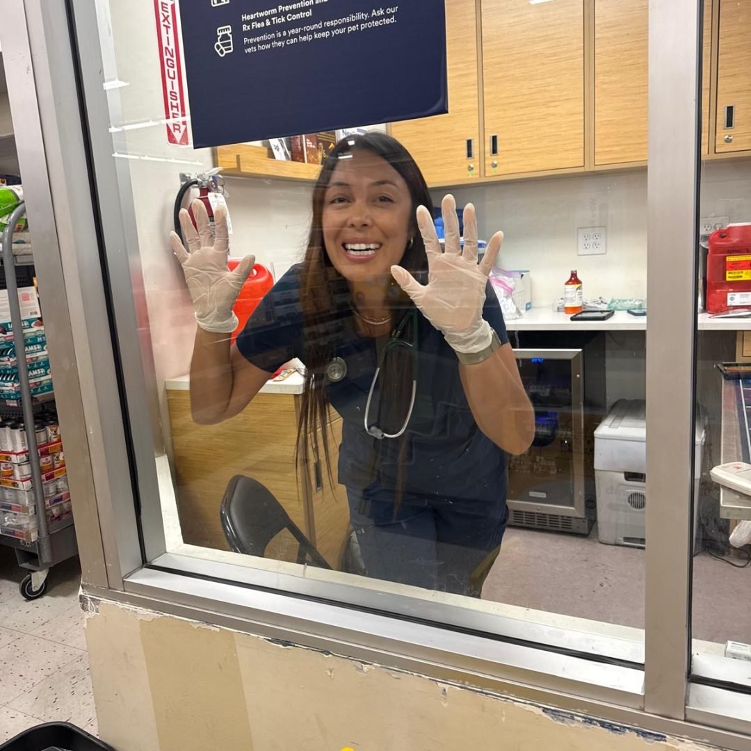 ddaab3ae-96aa-4db3-bd99-d3a4795b0cf4